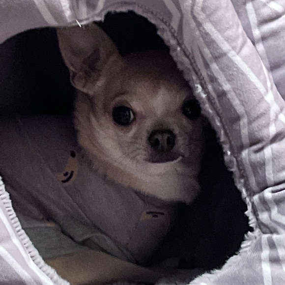 Meet your Posher, Zack - Picture 5 of 6